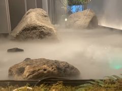 -沅江水·湖南家宴(南村万博长隆商圈店)