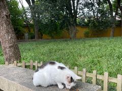-西园戒幢律寺