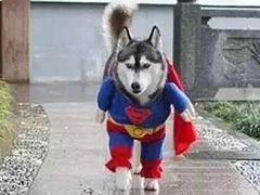 -金冠蛋糕(高新店)