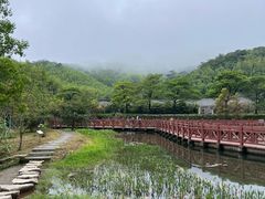 -广州市石门国家森林公园