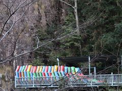 -龙湾潭国家森林公园