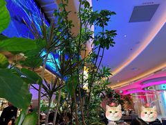 -桂满陇·蟹黄小笼汤包(清河万象店)