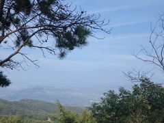 -沂蒙山旅游区云蒙景区(蒙山国家森林公园)