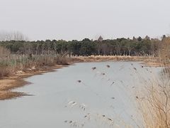 -南湖湿地公园