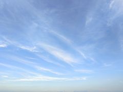 -青岛西海岸隆和福朋喜来登酒店