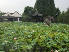 -乌镇望津里精品酒店