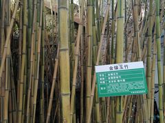 -竹泉村旅游度假区