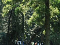 -人民公园(罗湖区)