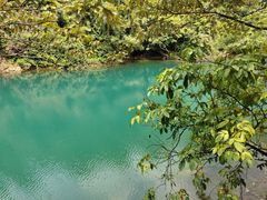 -鼎湖山风景区