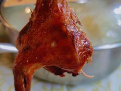 -百利鸽王(紫薇路店)