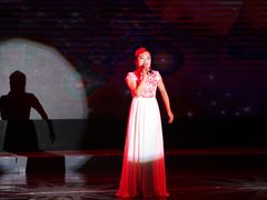 -陕北民歌大舞台