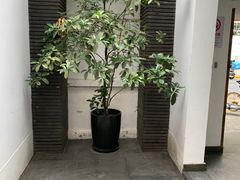 -Pilates ProWorks普拉提健身馆