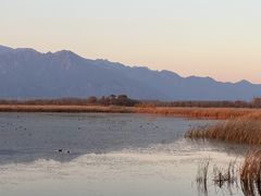 -野鸭湖国家湿地公园