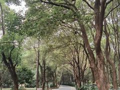 -东湖落雁景区