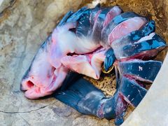-云中鱼蒸汽石锅鱼(浦东食品城店)