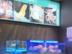 -董府和牛宴
