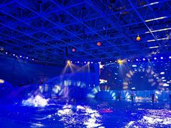 -海合安青岛极地海洋公园