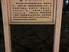 -武汉两江游览·夜游长江(汉口粤汉码头)
