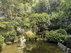 -杭州黄龙洞
