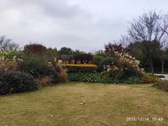 -新江湾城公园