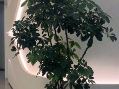 -小仙女采耳·按摩·SPA(深圳旗舰店)