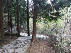 -四明山国家森林公园