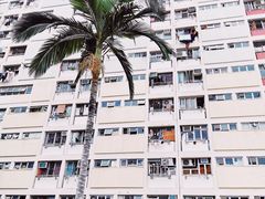 -彩虹村