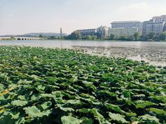 -武汉大学中南医院(总院区)