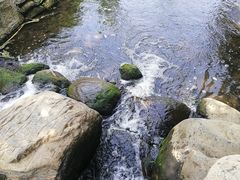 -白水寺森林公园