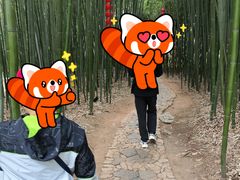 -竹泉村旅游度假区