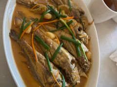 -华盛丰温州大排档(东三环南路店)