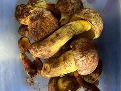 -阿葉农家饭店