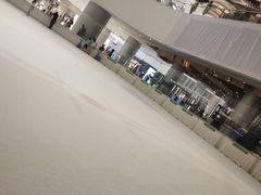-TheRink大零溜冰场(IFS国金中心店)