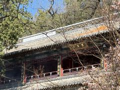 -潭柘寺景区