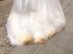 -殷姐糯米包油条