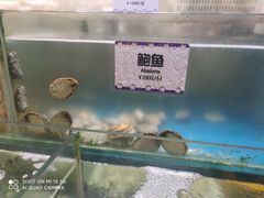 -喷泉广场餐厅·宵夜·海鲜烧烤大排档(长隆企鹅酒店)