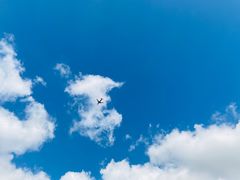 -上海滴水湖皇冠假日酒店