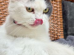 -安仁古镇