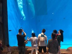 -华夏文旅海洋公园