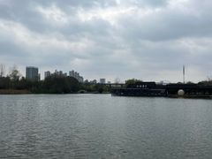 -洋湖国家湿地公园