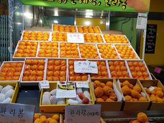 -西归浦每天偶来市场