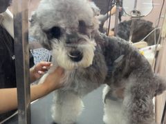 -FAELING PETS美天灵宠物(富力广场店)