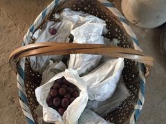 -马陆小张葡萄园农家乐