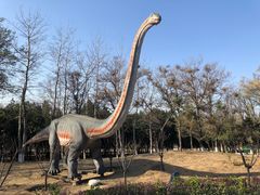 -青龙湖公园