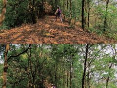 -风云岭森林公园