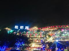 -枇杷园食为鲜火锅(南山店)