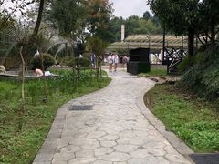 -三江森林温泉度假区