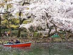 -井之头恩赐公园