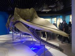 -青岛海底世界-水族馆