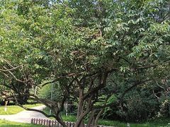 -仁和公园(顺义区)